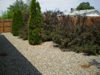 johnhustonjr profile photo