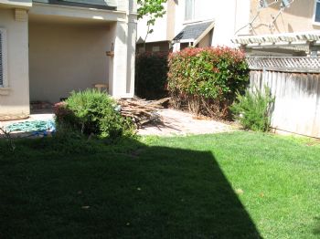 rdvogel profile photo