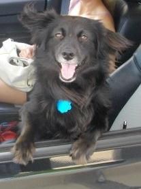 Michele3 profile photo