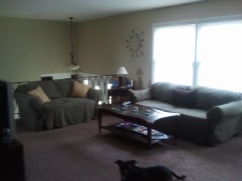 Jess86 profile photo