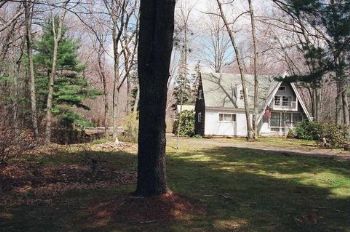 poclypse profile photo