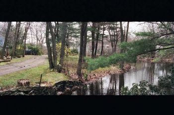 poclypse profile photo