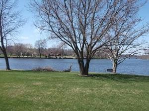 davidcioe profile photo