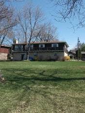 davidcioe profile photo