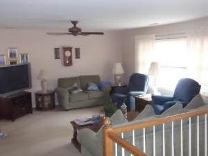 davidcioe profile photo