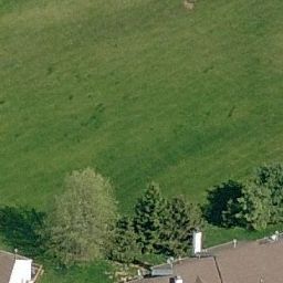 mmadziva profile photo