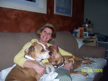 Mezuza profile photo