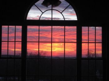 damiang profile photo