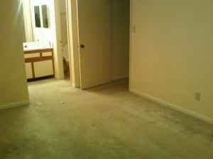 cocoa24 profile photo