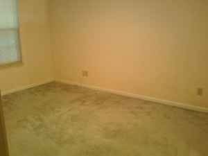 cocoa24 profile photo