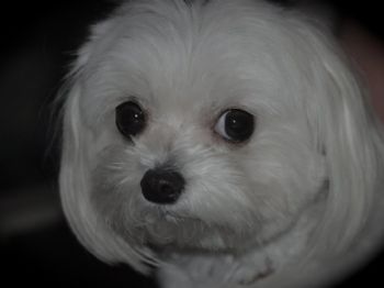 KFenton profile photo