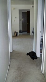 Andercovny profile photo