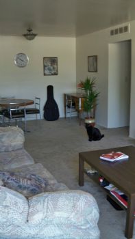 Andercovny profile photo