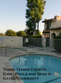 kingsfan42 profile photo