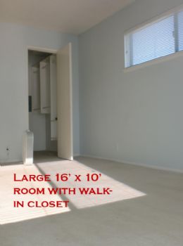 kingsfan42 profile photo