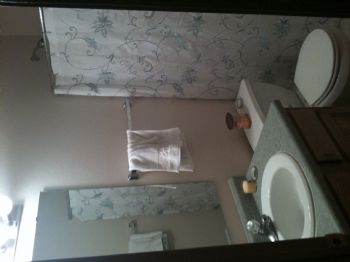 sandyc234 profile photo