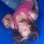 keholmes_92 profile photo