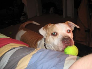 MJRobb profile photo