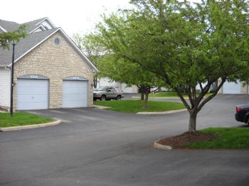 cennis profile photo