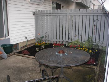 cennis profile photo