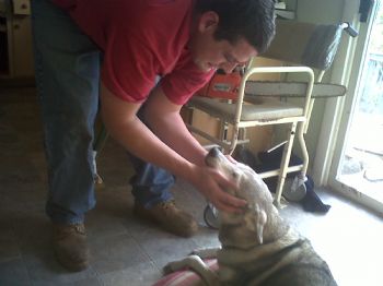 billylucian profile photo