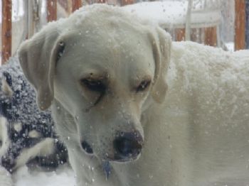 gettigfamily profile photo