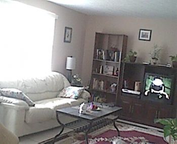 waychare profile photo