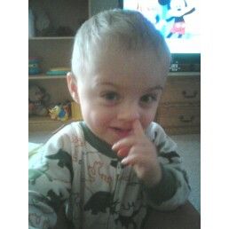 weinerdogmom profile photo