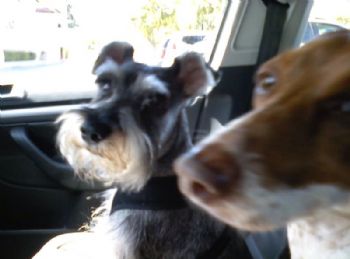 karina83 profile photo