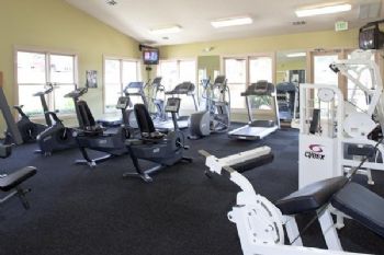 angelicaport profile photo