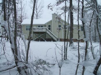 dlepper profile photo