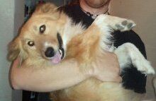 Sammie2013 profile photo