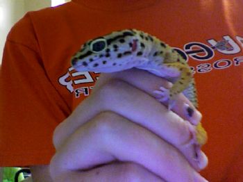 Kaila_elrod profile photo