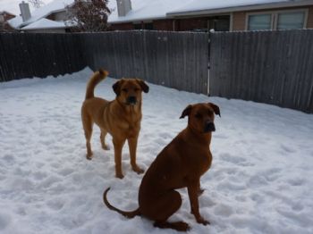 angie443 profile photo