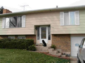 dcruise profile photo