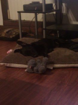 missyk profile photo