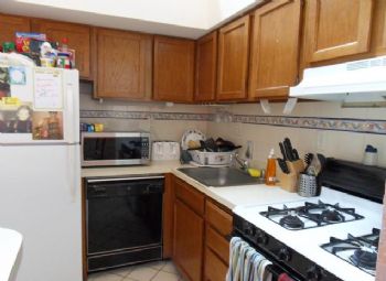 ayashnik profile photo