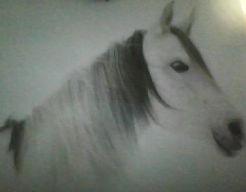 Bboobbyy profile photo