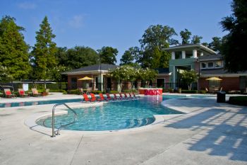 dchampagne profile photo