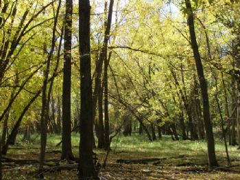 LMFranklin18 profile photo