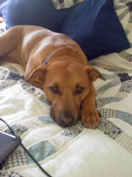 ufbenson profile photo