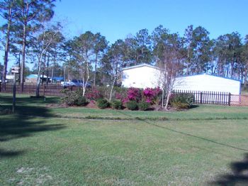 parapine profile photo