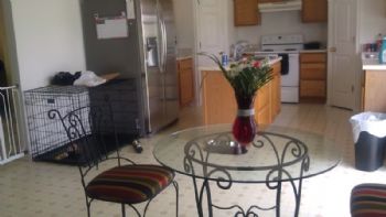 Jennifer. profile photo