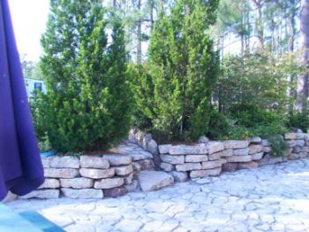 yodapeanut profile photo