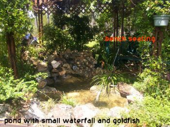 yodapeanut profile photo