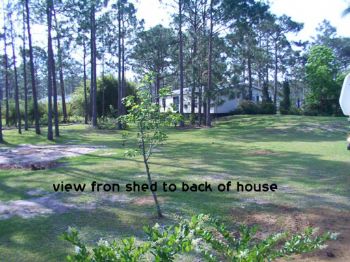 yodapeanut profile photo