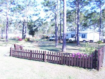 yodapeanut profile photo