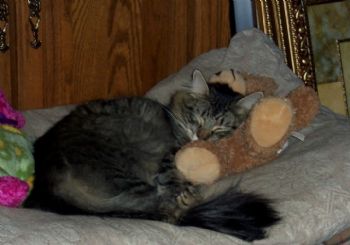 DaniP87 profile photo