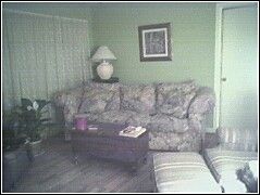 blondie61455 profile photo