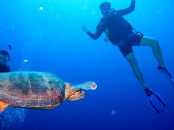 chrisb87 profile photo